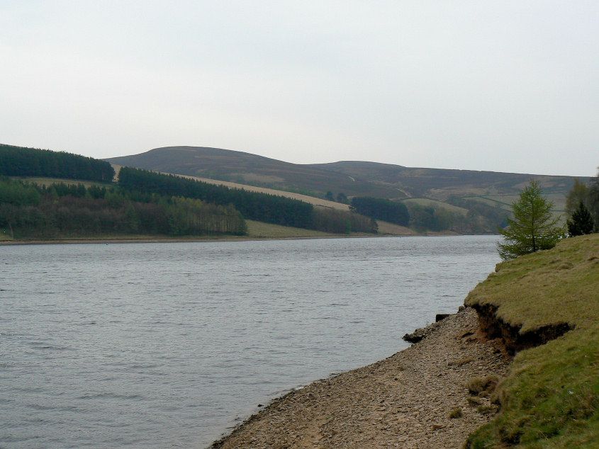Wild Moor across Errwood Reservoir Wild Moor across Errwood Reservoir